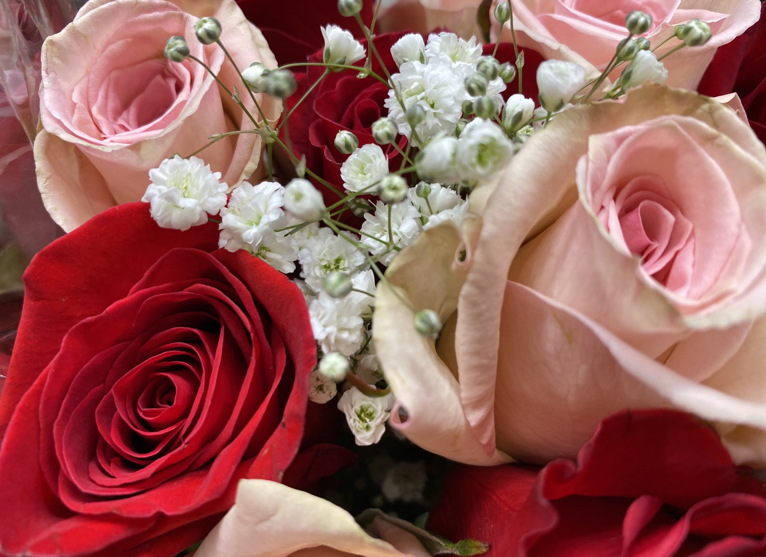 Se esperan 33 mil mdp por ventas y servicios por el Día de la Madre: Concanaco