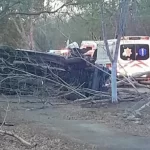 Chofer se atraganta con un “Saborín” y sufre volcadura en la vía Chumayel-Teabo dejando tres muertos