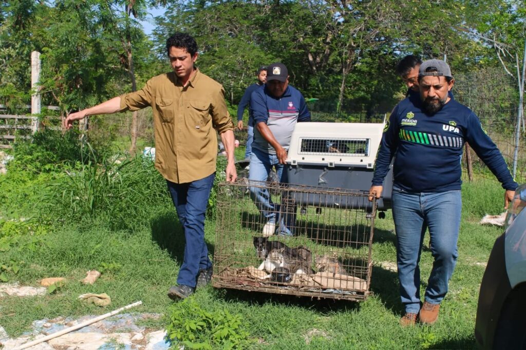 WhatsApp Image 2026-04-10 at 11.47.32 AM