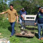 Rescate integral en Mérida: Salvan a 40 animales del abandono absoluto
