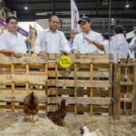 Expo Campo 2026 regresa a Yucatán tras siete años y reúne a más de 400 expositores