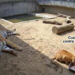 ¿Quién dijo miedo?