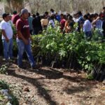 Reverdece la UTP con el programa “Renacimiento Verde en tu Escuela”