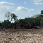 Sitio clausurado por presuntas actividades ilícitas en la Reserva Cuxtal.