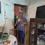UPA rescata 48 perros en situación crítica en el centro de Mérida