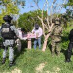 Profepa clausura 17 polígonos en la Reserva de la Biosfera Ría Celestún